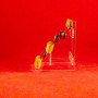 presentoir_plexiglas_6_mini_couteaux_C6M