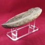 lot_2_presentoirs_plexiglas_petits_ objets_PRE02