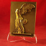 lot_10_chevalets_plexiglas_PRE08GM